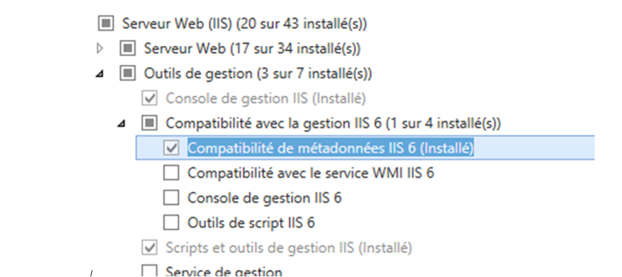 IIS2.png