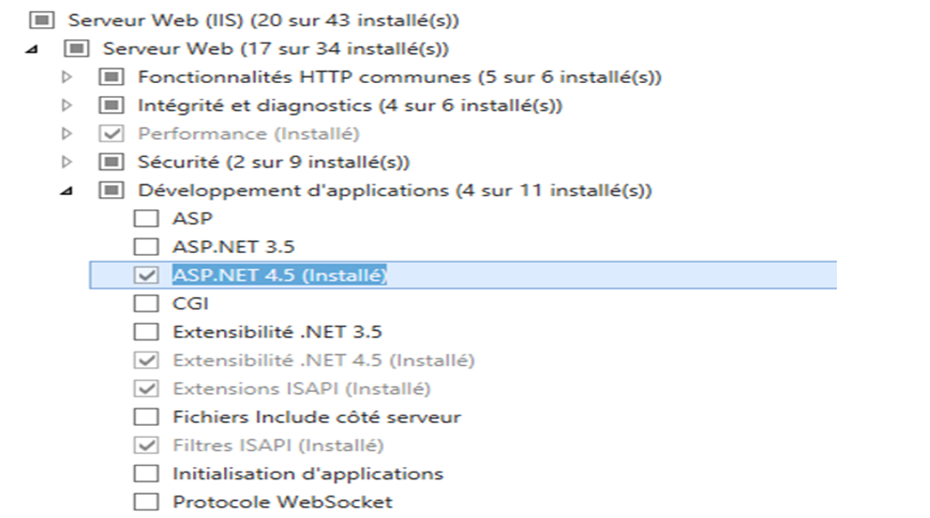 IIS3.png